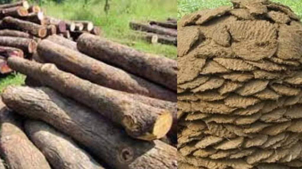 अंत्यसंस्कारासाठी मिळणार आता मोफत लाकडे आणि शेणी ; उचगाव ग्रामपंचायतीचा निर्णय