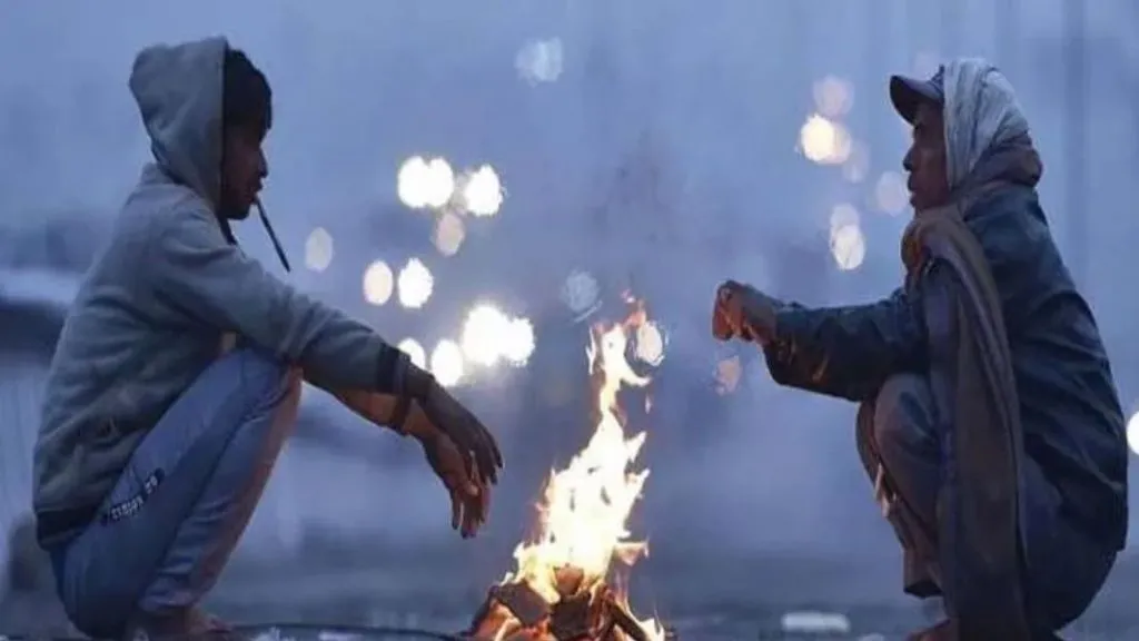 पुढील चार दिवस राज्यात थंडीचा जोर कायम, हवामान विभागाचा अंदाज