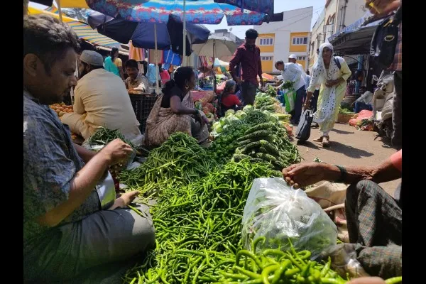 भाजीपाल्याचे दर स्थिर; मागणीत वाढ