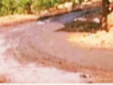 प्रक्रियेविना किती काळ शेडमध्ये कचरा टाकत राहणार ?