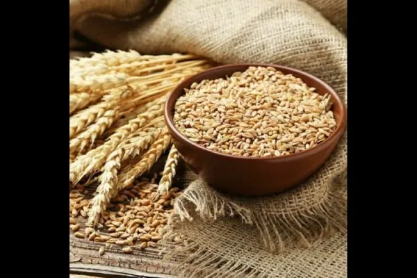 केंद्राची गहू खरेदी पुढील सत्रात कायम राहणार