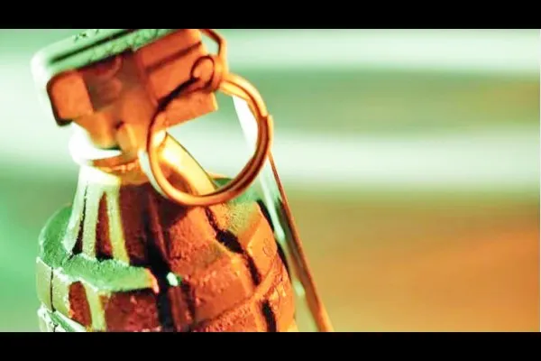 घराच्या सजावटीसाठी जिवंत बॉम्ब