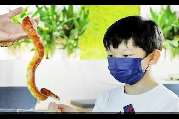 साप-विंचवांचे रेस्टॉरंट