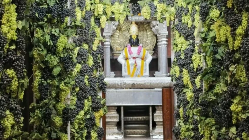 विठ्ठल मंदिरात सजावट केलेले एक टन द्राक्षे गायब, भाविकांची चौकशीची मागणी