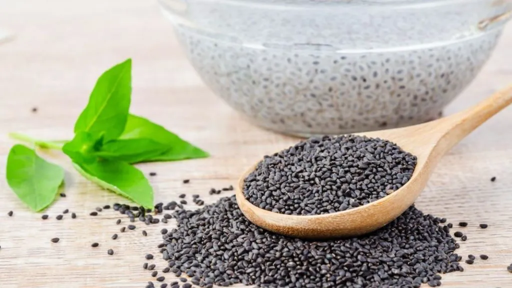 जाणून घ्या सब्जा बीचे आरोग्यदायी फायदे