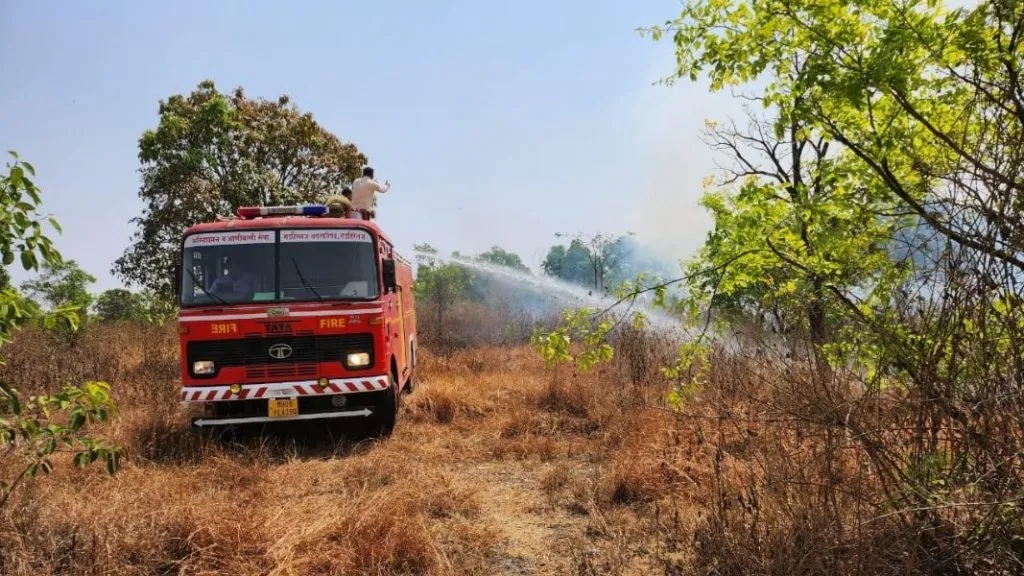 सामानगडाच्या डोंगराला लागलेल्या आगीत जंगलातील गवत जळून खाक