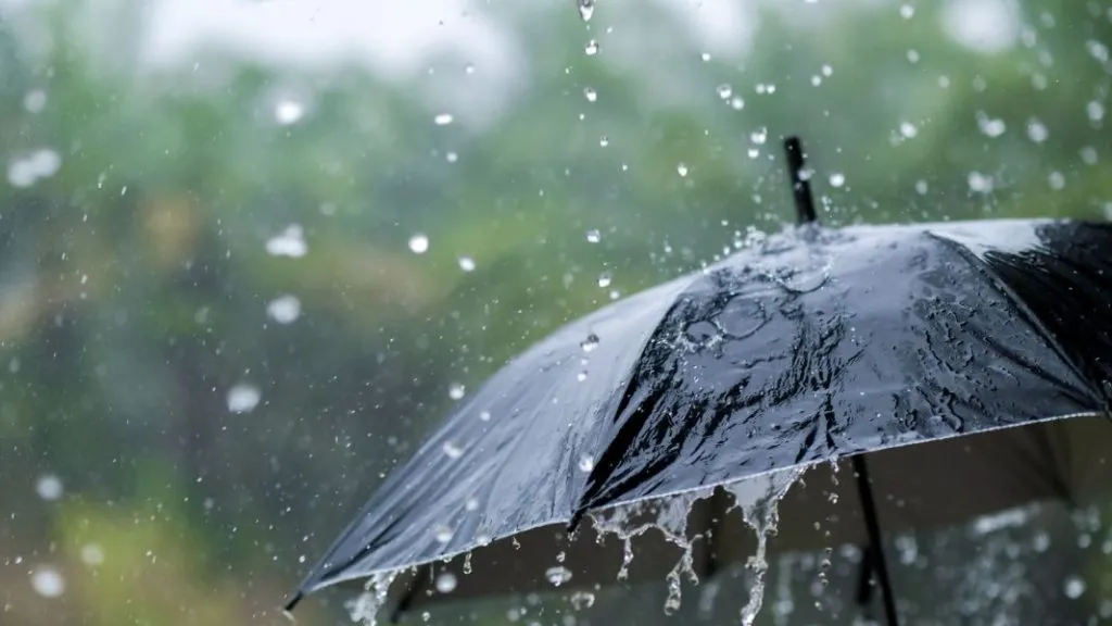 जिल्ह्यात वादळी पावसाचा इशारा,शनिवारी देखील हलक्या सरी बरसण्याचा अंदाज