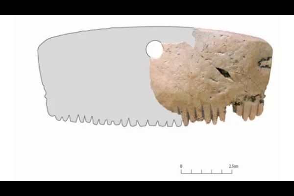 उत्खननात मिळाला 2 हजार वर्षे जुना कंगवा