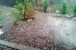 राज्यात पुन्हा गारपिटीचा इशारा