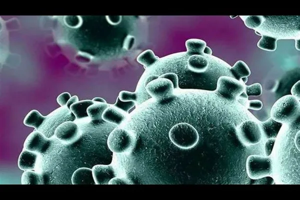 राज्यात पुन्हा कोरोना सक्रीय…