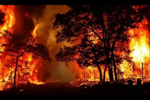 कोण शमविणार बदलत्या गोव्यातील हे वणवे?