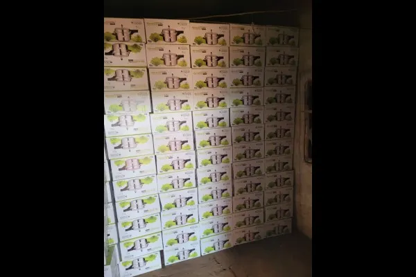 तेग्गीहाळ गावातील फार्महाऊसवर सोळाशे कुकर जप्त