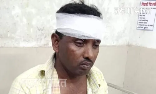 Kolhapur : दाजीपूर अभयारण्यात गव्याच्या हल्ल्यात शेतकरी गंभीर जखमी