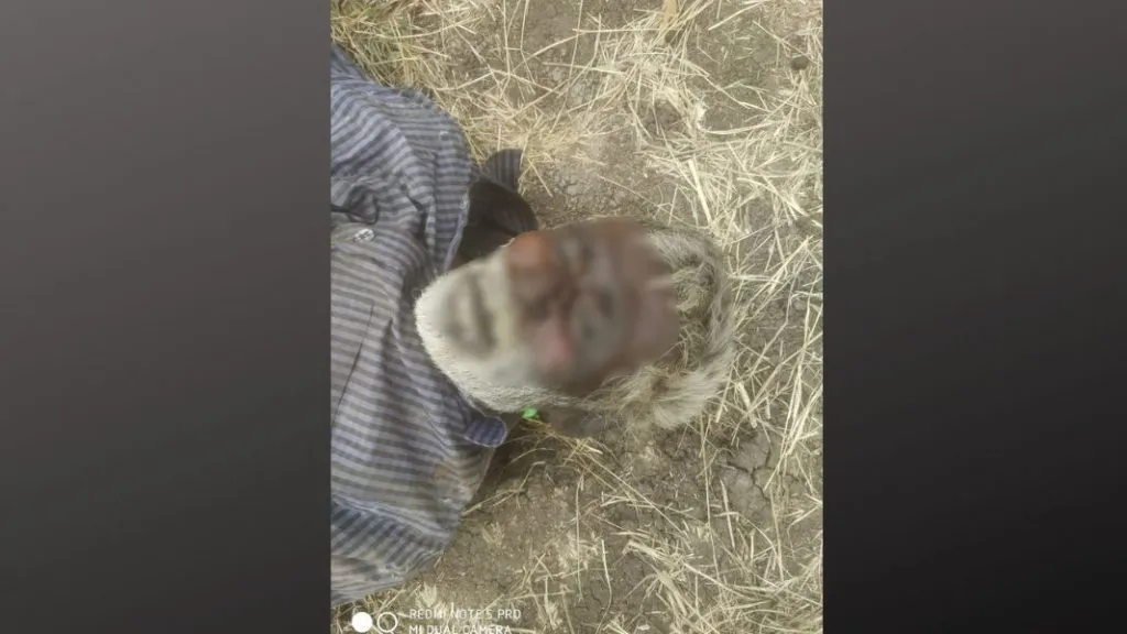 Sangli : गाताडवाडीत बेवारस वृध्दाचा आढळला मृतदेह