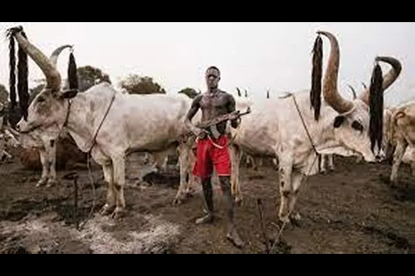 गोमुत्राने आंघोळ करणारा समुदाय