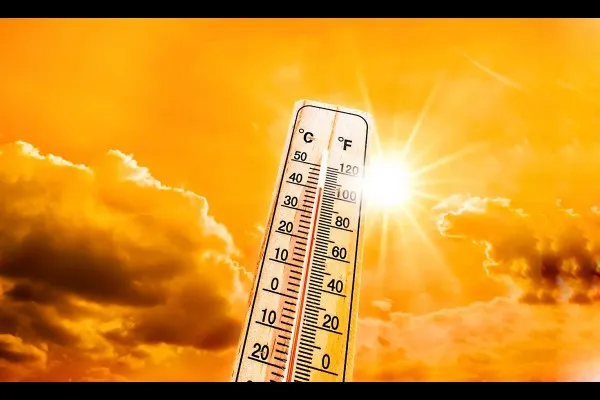 Summer temperature increased in February