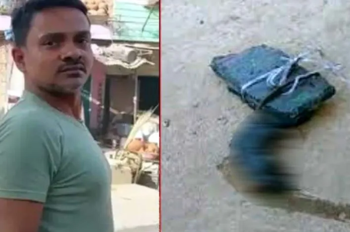 उंदराच्या हत्येसाठी 30 पानी आरोपपत्र