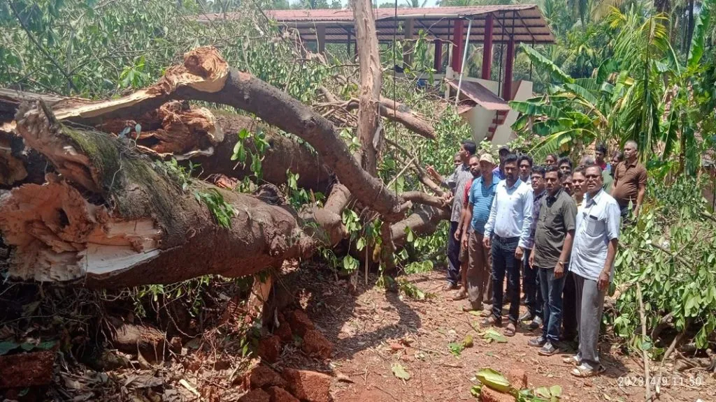 सांगेलीतील नुकसानीची तहसिलदारांकडून पाहणी !