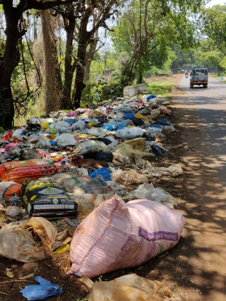 बेळगुंदी फाट्याजवळ भटक्या कुत्र्यांचा उच्छाद