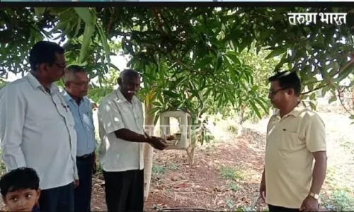 नरवाड येथे पशुपक्षांसाठी ‘मूठभर धान्य आणि घोटभर पाणी’ उपक्रमाला सुरवात