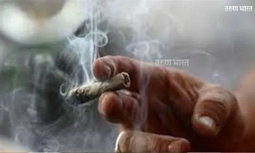 Ratnagiri: गांजा सेवन करणाऱ्या टोळक्याच्या मुसक्या आवळल्या; लांजा पोलीसांची कारवाई