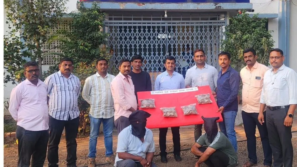 कुपवाडमध्ये खवल्या मांजरांच्या खवल्यांची तस्करी: रत्नागिरीच्या दोघांना अटक