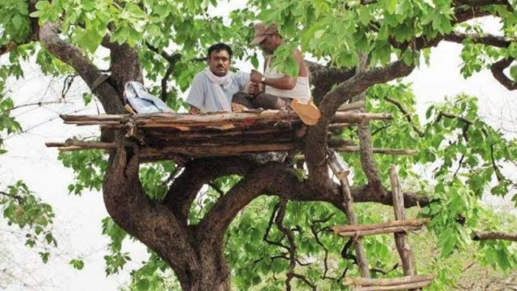 पौर्णिमेची रात्र,जंगल अन् मचानावरची बैठक