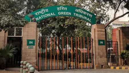 ‘कासपठार’वरील बेकायदेशीर बांधकामांबाबत चार आठवड्यात निर्णय द्या- राष्ट्रीय हरित न्यायाधिकरणांचे जिल्हाधिकाऱ्यांना आदेश