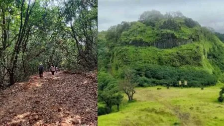 असुदे दगड धोंड्याचीच वाट …