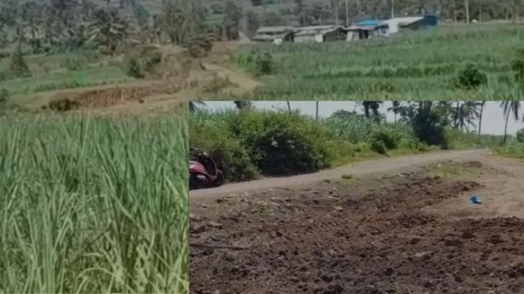 फुलेवाडी ते महे राज्यमार्गातील अडथळा दूर, 25 गावांच्या वाहतुकीचा प्रश्न सुटला