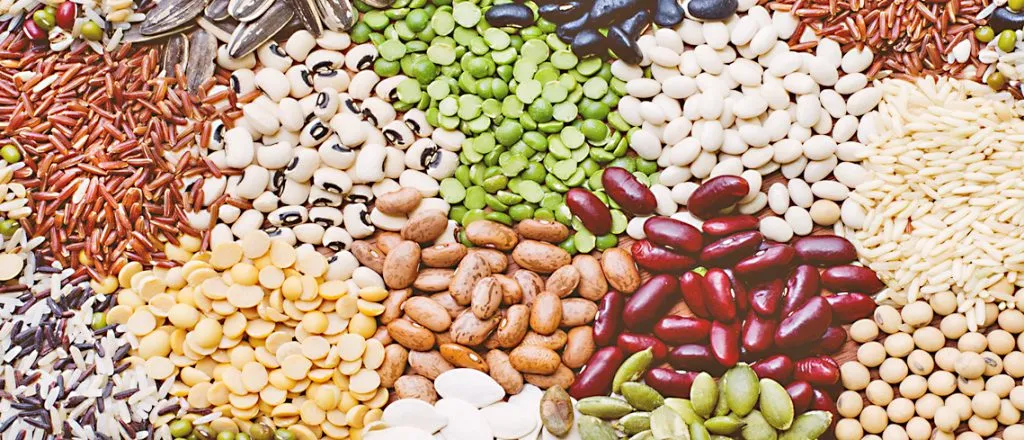 अधिक दराने बी-बियाणांची विक्री करणाऱ्यांवर कारवाई