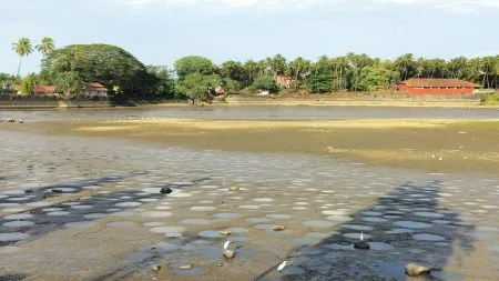 मोती तलाव आटला ; पक्षी पाण्याच्या शोधात