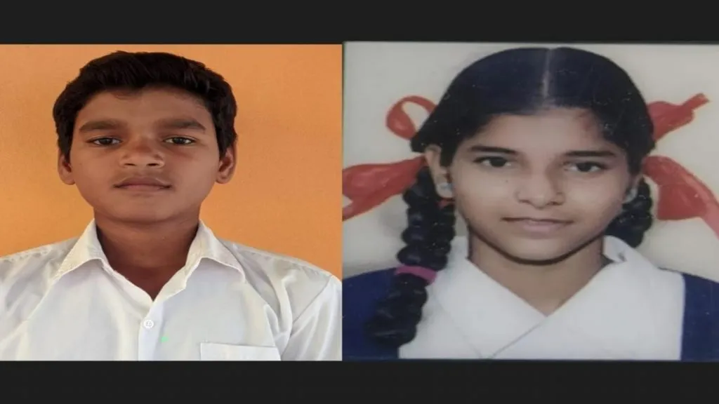 ओझर विद्या मंदिरचे राष्ट्रीय शिष्यवृत्ती परीक्षेत यश