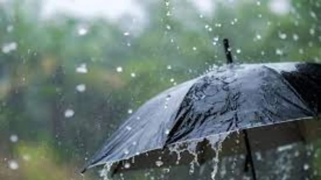 Heavy rain continues in Goa