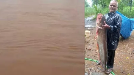 fish weighing around 20 kg was found in Sachin Bange net