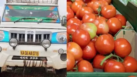 Bolero vehicle loaded with 2 tons of tomatoes stolen