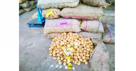 Onion-potato prices slightly reduced, Hassan potato entered the market