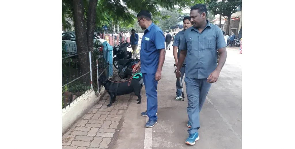 Inspection by dog teams in collector premises