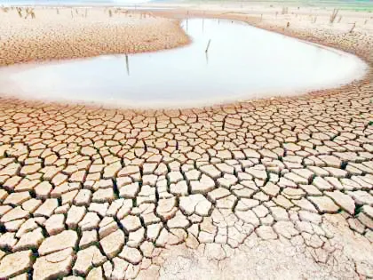 Drought declared: Phuli on Belgaum, Khanapur