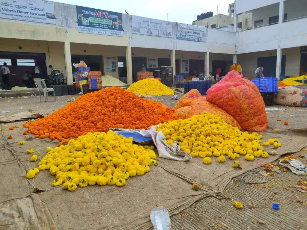 Arrival of attractive flowers for Navratri festival