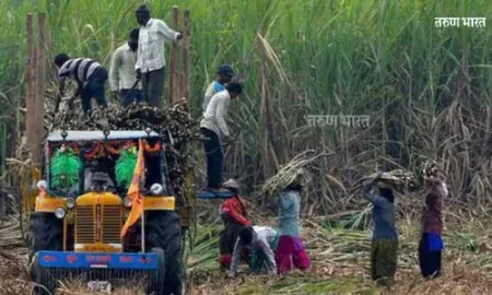 Sugarcane crushing season Maharashtra