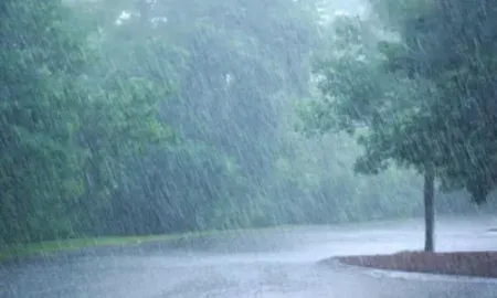 Heavy rain warning in many states