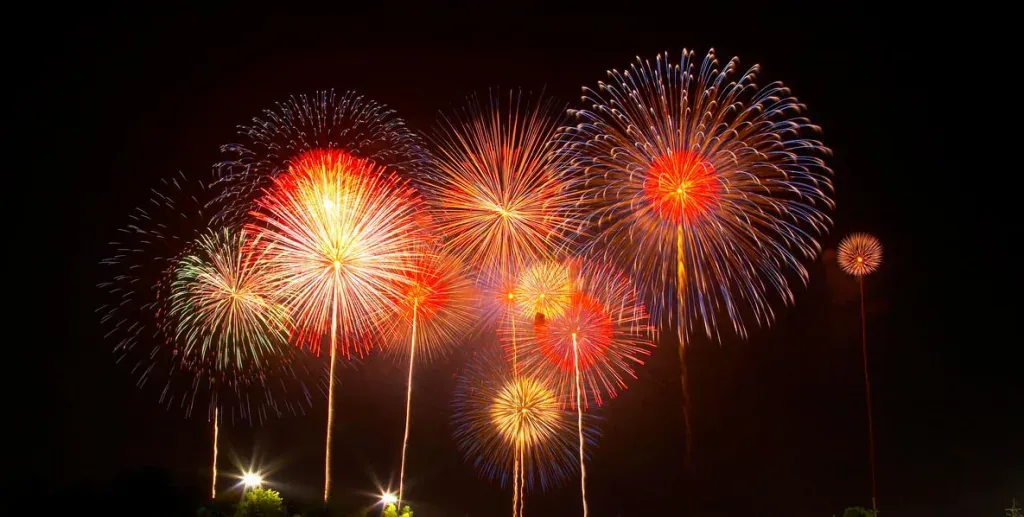 Everyone loves to watch fireworks in the sky. The colorful and brilliant light that scatters in the sky when crackers burst is mind-blowing