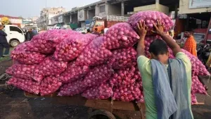 Export ban on onion, restriction on wheat storage