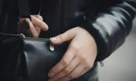Thieves jailed for stealing ladies purses full of jewels from railways
