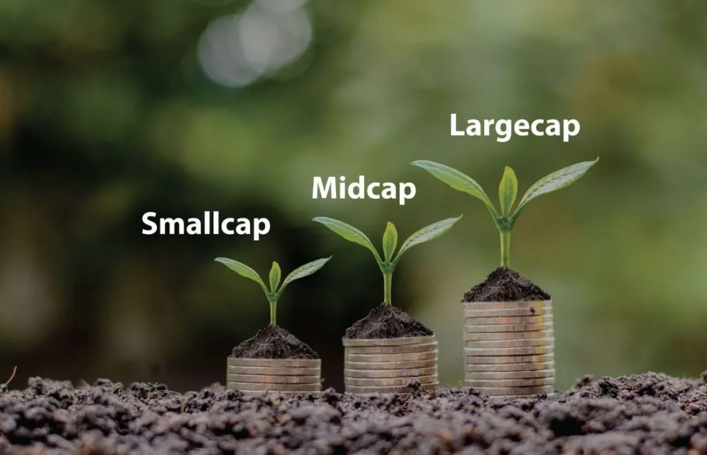 44 percent return of midcap and 54 percent return of small cap