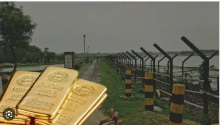 3 crore gold seized at Bangladesh border; One arrested