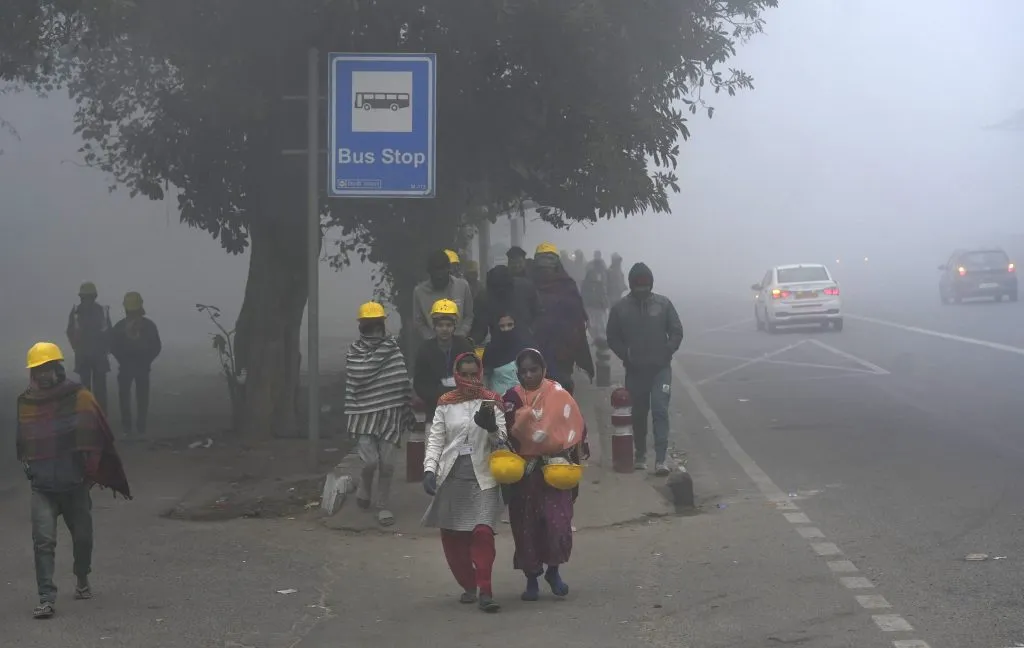 Severe cold, dense fog in North India