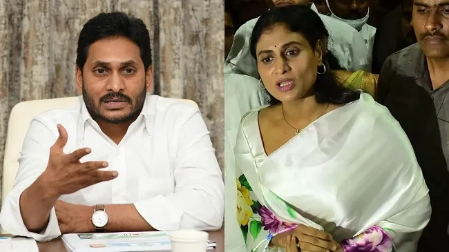 Sister's challenge to brother in Andhra Pradesh