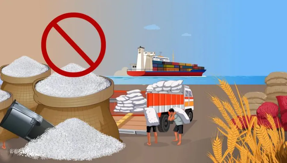 Export ban on wheat, rice, sugar remains